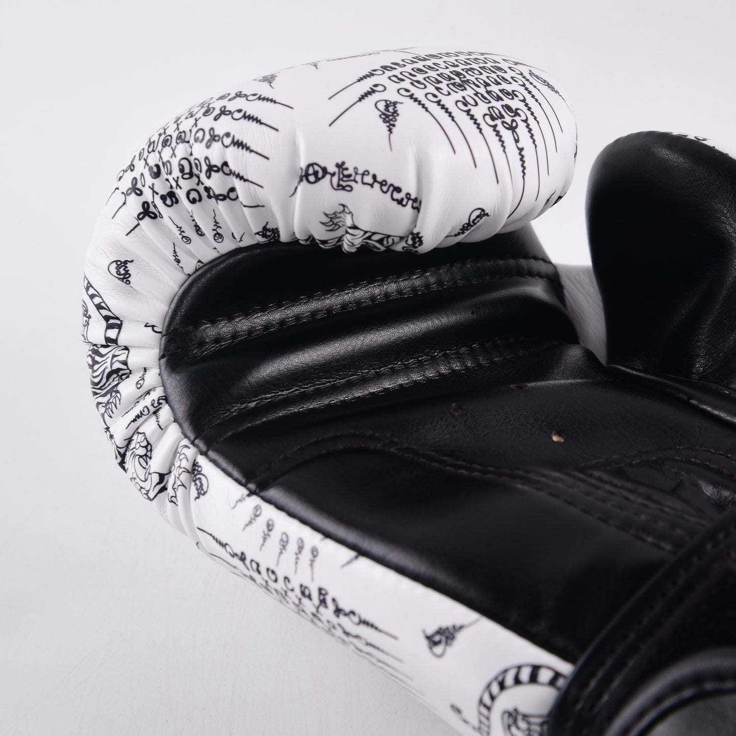 כפפות איגרוף מקצועיות Raja – דגם Fancy Sakyan